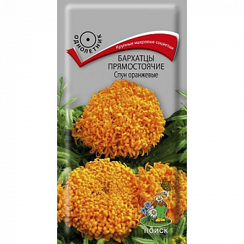 Бархатцы прямостоячие Спун оранжевые