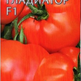 Томат (Помидор) обыкновенный Гладиатор F1