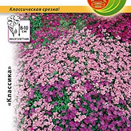 Аубриета (Обриета) обыкновенная смесь