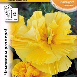 Эшшольция (калифорнийский мак) Золотая