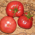 Томат Медовый