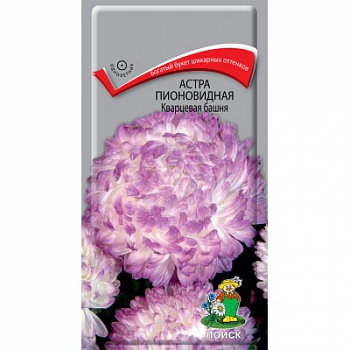 Астра пионовидная Кварцевая башня