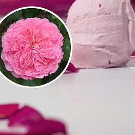 Роза парковая кулинарная Тео Клеверс Роза парковая кулинарная Тео Клеверс