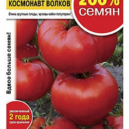 Томат (Помидор) обыкновенный Космонавт Волков
