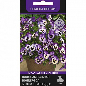 Виола ампельная Вондерфол Блю Пикоти Шейдс