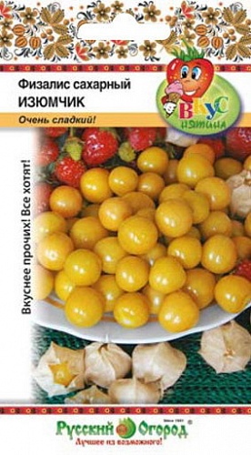Физалис  Сахарный Изюмчик