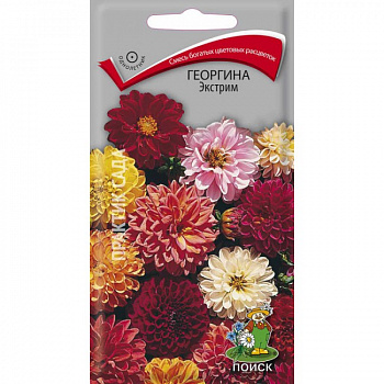 Георгина Экстрим