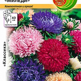 Астра Миледи, смесь
