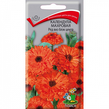Календула махровая Ред виз блэк центр