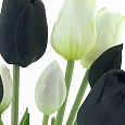 Подарочный набор Тюльпаны Black and White