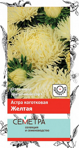 Астра коготковая Желтая