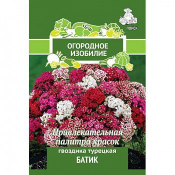 Гвоздика турецкая Батик