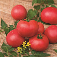 Томат Персиановский F1