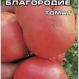 Томат (Помидор) обыкновенный Ваше Благородие