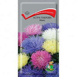 Астра Павлова Микс