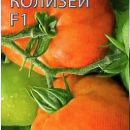 Томат (Помидор) обыкновенный Колизей F1
