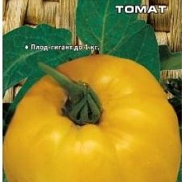 Томат (Помидор) обыкновенный Самохвал