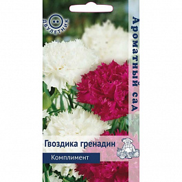 Гвоздика Гренадин Комплимент
