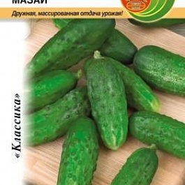 Огурец  Мазай F1
