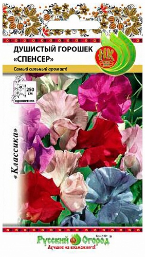 Душистый горошек  Спенсер