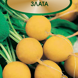 Редис Злата