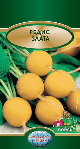 Редис Злата