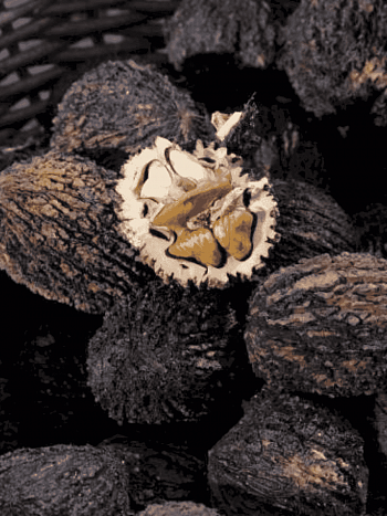 Орех черный