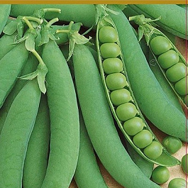 Горох овощной Оскар Агро