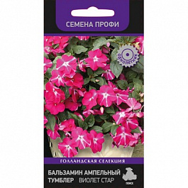 Бальзамин ампельный Тумблер Виолет Стар