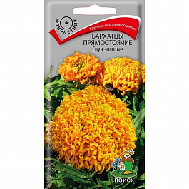 Бархатцы прямостоячие Спун золотые