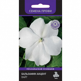 Бальзамин Акцент Вайт
