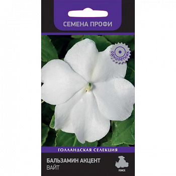 Бальзамин Акцент Вайт