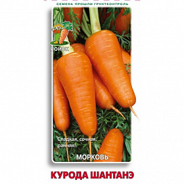Морковь Курода Шантанэ