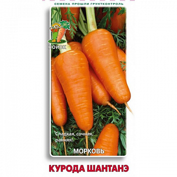 Морковь Курода Шантанэ Морковь Курода Шантанэ
