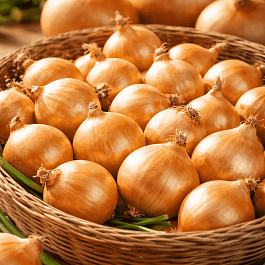 Лук-озимый Сеншуй Еллоу Глоб