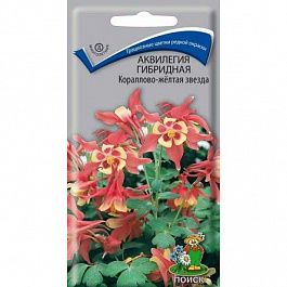 Аквилегия гибридная Кораллово-желтая звезда