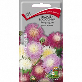 Василёк мускусный Императорская смесь окрасок