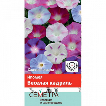 Ипомея Веселая кадриль