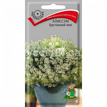 Алиссум Хрустальный звон