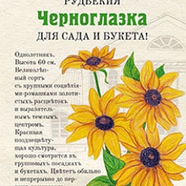 Рудбекия Черноглазка