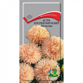 Астра королевский размер Абрикосовая Астра королевский размер Абрикосовая
