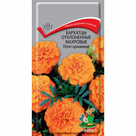 Бархатцы отклоненные махровые Петит оранжевые