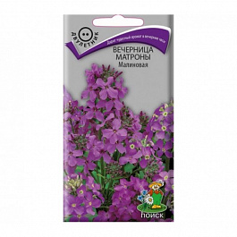 Вечерница Матроны Малиновая Вечерница Матроны Малиновая