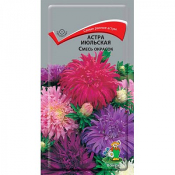 Астра июльская Смесь окрасок