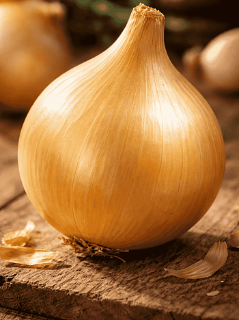 Лук-севок Шекспир