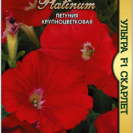 Петуния Гибридная крупноцветковая Ультра F1 Skarlet