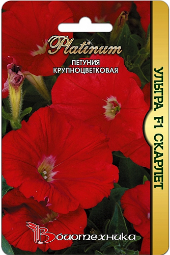 Петуния Гибридная крупноцветковая Ультра F1 Skarlet