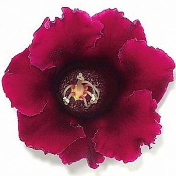 Глоксиния Импресс Вайн Ред