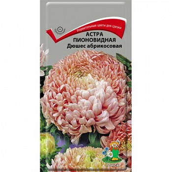Астра пионовидная Дюшес абрикосовая