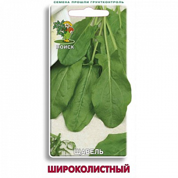 Щавель Широколистный